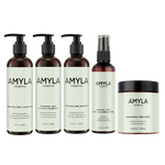 Das Rosmarin-Minz-Set