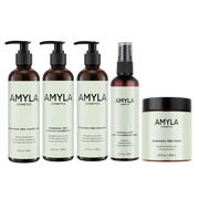 Das Rosmarin-Minz-Set